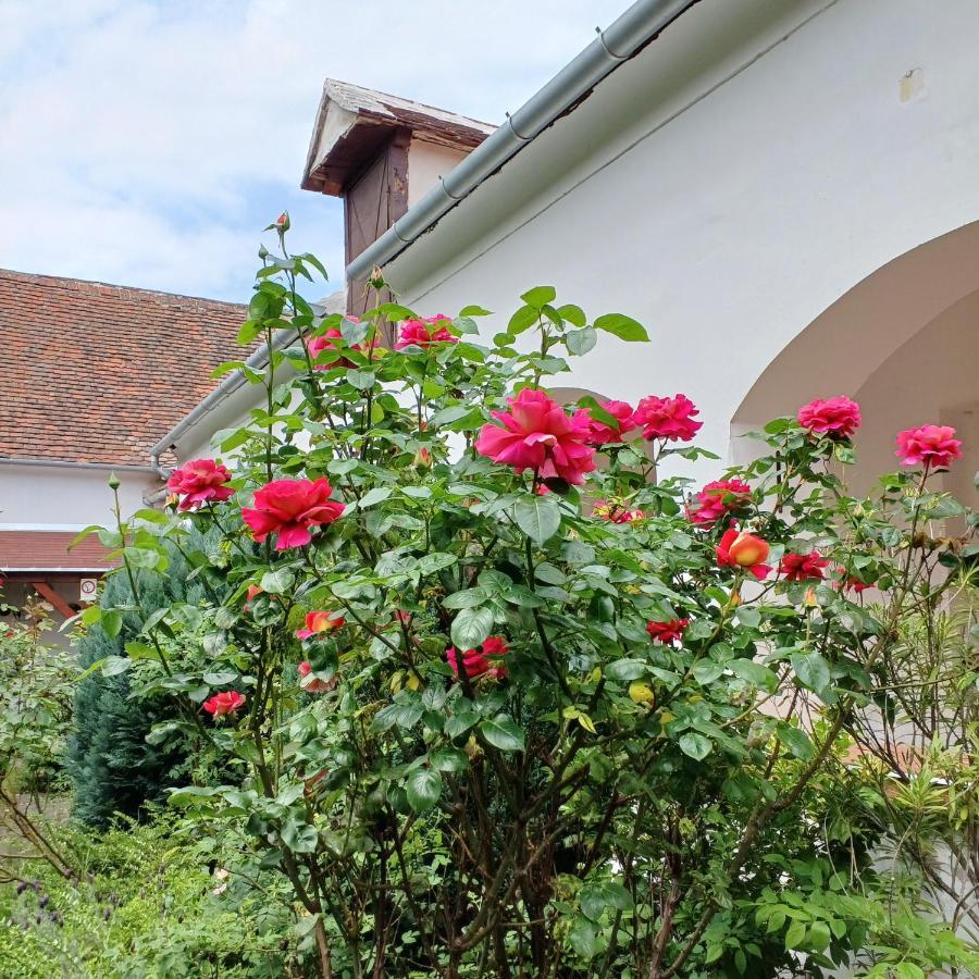 Blues Ryokan Kőszeg Dış mekan fotoğraf