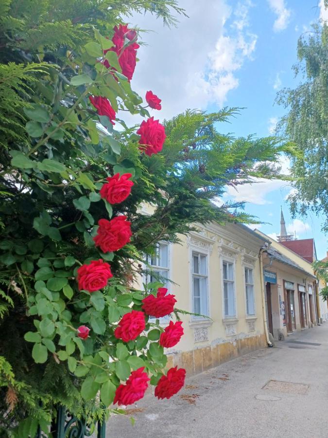 Blues Ryokan Kőszeg Dış mekan fotoğraf