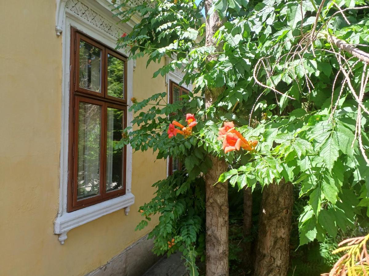Blues Ryokan Kőszeg Dış mekan fotoğraf